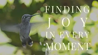 Miranda Macpherson - How to Find Joy in Every Moment