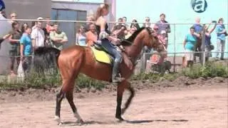 О Чемпионате Амурской области по конному спорту -  Альфа-новости (тк Альфа плюс)