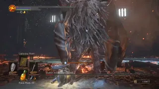 Dark Souls 3 - Friede Boss Fight (Rage)