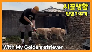 올해는 내가 기른 옥수수를 꼭 먹어볼거에요 | 골든리트리버와 시골생활 | 텃밭 가꾸기 | Rusticity