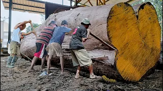 Worth 30 million! The giant teak wood is imported directly from the ski area and sawed by a sawmill