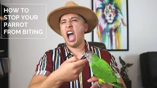 How To Stop Your Parrot From Biting You? | Don't Make This Mistake!