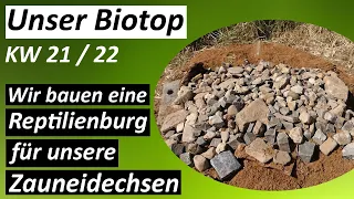 Reptilienburg für Zauneidechsen - #Biotop - KW 21 / 2022