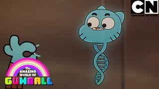 Um pacto pelo amor | O Incrível Mundo de Gumball | Cartoon Network 🇧🇷