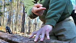 If I did not stop to film this log I would not have found what I found today