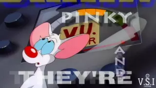 Pinky and The Brain Intro(German)