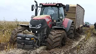 Case IH 300 Optum Gets Totally Stuck in The Mud During Maize / Corn Chopping | Häckseln 2017