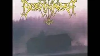 Borknagar - Svartskogs Gilde