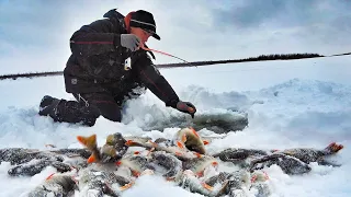 ДА СКОЛЬКО ЖЕ ЕГО ЗДЕСЬ!!!?😱ВЫРЫВАЮТ ИЗ РУК и НЕ ДАЮТ ОПУСТИТЬ! ПЕРВЫЙ ЛЁД 2021-22!