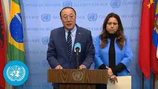 China & the United Arab Emirates on Gaza | Security Council Media Stakeout | United Nations