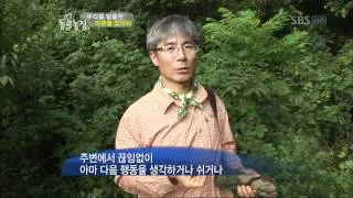 [SBS TV 동물농장] 532회 2011년10월2일 일요일_02