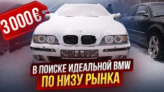 ВПЕРВЫЕ! Ищем BMW для подписчиков