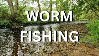Ep 36 - SMALL RIVER FISHING | BROWN TROUT