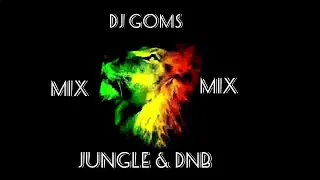 ragga jungle drum n bass Dj goms