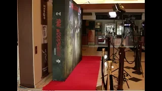 Step and Repeats for a red carpet movie premiere review