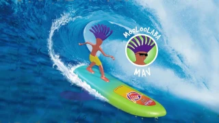 Wahu Surfer Dudes