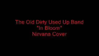 In Bloom (Nirvana Cover).wmv