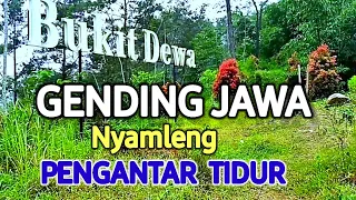 GENDING JAWA PENGANTAR TIDUR SIANG DAN MALAM #gending #sinomparijotho #jokotarub