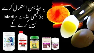 Infertility in Birds|| Infertility Medicine|| How to treat infertile Bird| Infertility Issue in bird