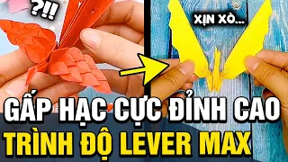 GẤP HẠC đã lên một tầm cao mới, đủ mọi đẳng cấp khác nhau khiến cđm TRẦM TRỒ | TÁM TV