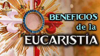 💎 Beneficios de la Eucaristía ✅ ¿Cómo recibir bien la Comunión?🎙️PODCAST Caballeros de la Virgen