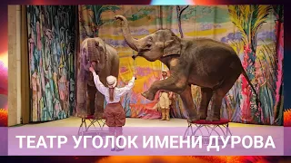 Театр Уголок Дедушки Дурова | По следам Снежной Королевы