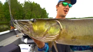 30+ MUSKIE BITES In ONE DAY!! - UNBELIEVABLE 10 MUSKY Day!!