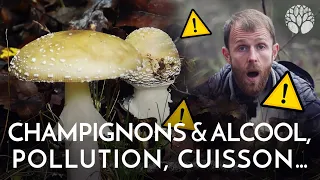 Champignons sauvages comestibles, oui mais attention !