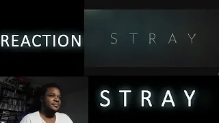 STRAY Trailer Reaction