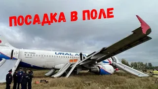 Самолет Уральских Авиалиний совершил экстренную посадку в поле | Arbus A320-200 Ural Airlines