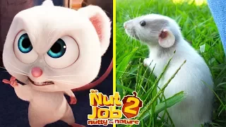 The Nut Job 2 Characters In Real Life | All Characters 2017