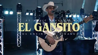 Los Encinos De Sinaloa "El Gansito" 2023