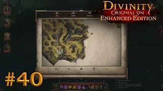 Divinity: Original Sin - #40