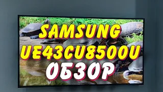 Телевизор SAMSUNG UE43CU8500UXRU