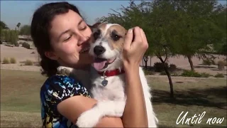 Best Friends Forever ~ I love My Jack Russell Jesse ♥❤♥