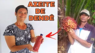 DA COLHEITA DO DENDÊ AO AZEITE, VEJA COMO É FEITO.