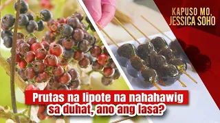 Prutas na lipote na nahahawig sa duhat, ano ang lasa? | Kapuso Mo, Jessica Soho