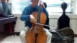 Bach: Suite for Cello No.5 - Sarabande