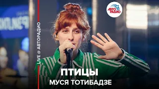 Муся Тотибадзе - Птицы (LIVE @ Авторадио)