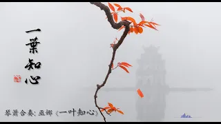 琴箫合奏《一叶知心》: 巫娜/ Chinese Music, Guqin “Yi Ye Zhi Xin (A Leaf Understands the Heart)”: WU Na