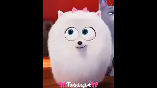 Secret life of pets Gidget