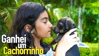 Ganhei um cachorrinho 🐶 Primeiro Banho - Yasmin Verissimo