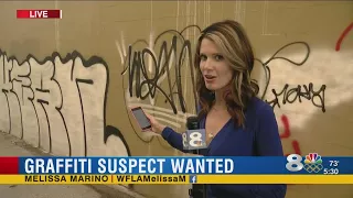 Graffiti Suspect Wanted