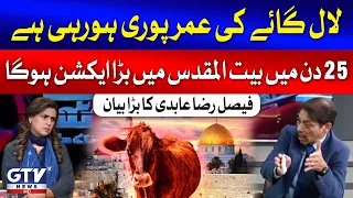 Faisal Raza Abidi Alarming Statement | Red Heifer Sacrifice Age Completed? | Breaking News
