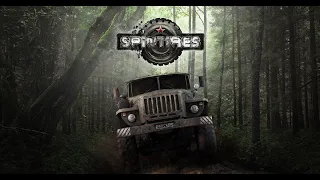 играем в spin tires