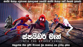 ස්පයිඩර් මෑන් into the spider verse සම්පූර්ණ කව සිංහලෙන් | spider man movie review Sinhala