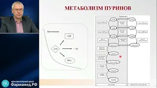 Физиология и фармакология пуриновых рецепторов Карелов А.Е.