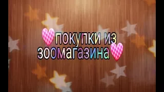 💐🐱🎀Покупки для кошки из зоомагазина💐🐱🎀