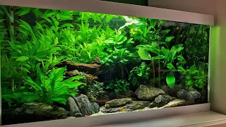 3 EPIC LOW TECH AQUASCAPES (NON CO2)