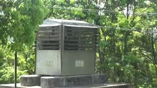 ミュージックサイレン【音量注意】愛媛県八幡浜市愛宕山　12時「みかんの花咲く丘」